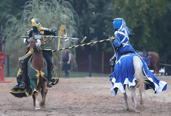 jousters in my costumes